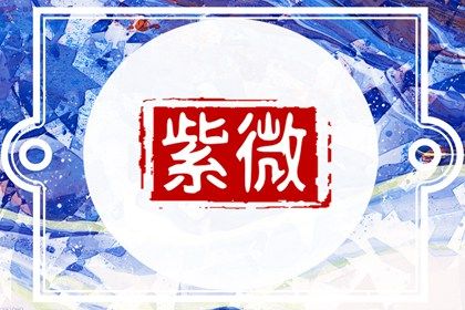 数字化紫微参考用法